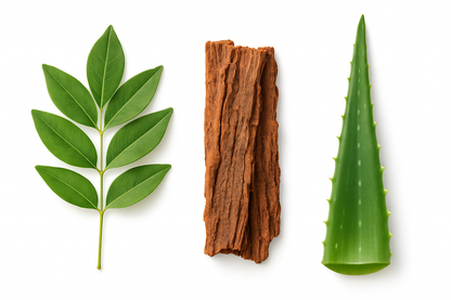 Limpieza y desintoxicación de 15 días para adultos: favorece la salud digestiva, la regularidad intestinal y la limpieza intestinal. Fórmula herbal natural con sen, cáscara sagrada y probióticos.